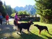 05 Dylan  incontra  il bel cane del Rifugio... 